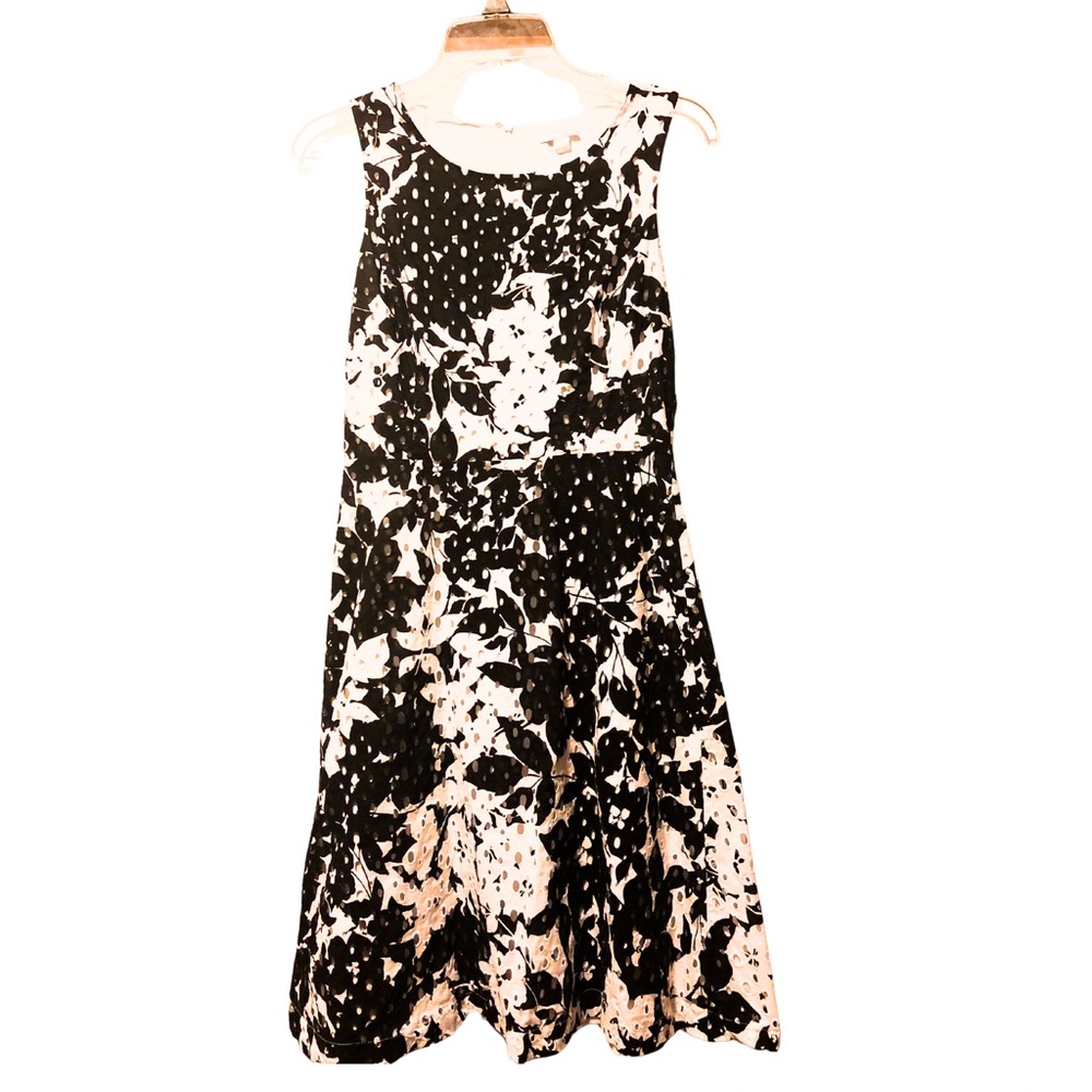 New York & Company black and white dress
